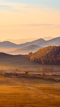 Encounter the golden autumn of the grassland 2
