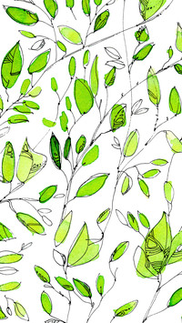 植物插画-锐景创意