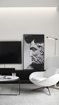 The popular black white and gray home decor style