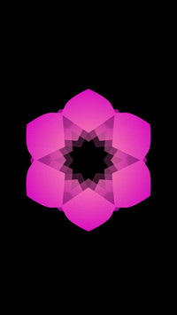 Blooming