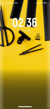 Minimalist