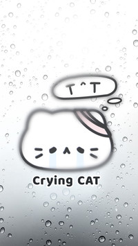 悲伤小猫-顶晟科技