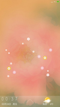 花与圆