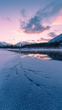 Winter sunset at Vermilion Lakes