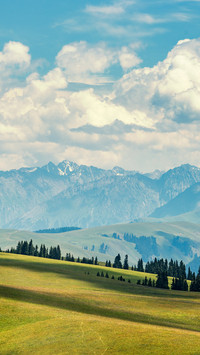 Kalajun grassland 2