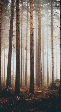 Android HD (48)