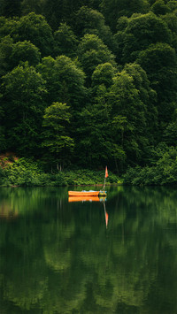 在湖心遇见最美的风景