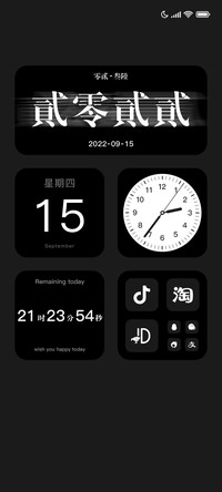 极简雅致黑