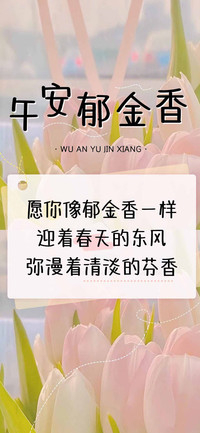 午安郁金香