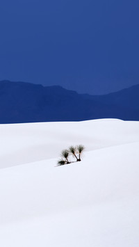 White Sands National Monument New Mexico, USA