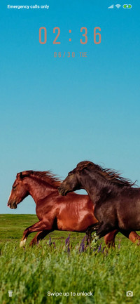 Horse - Dark_3MDS
