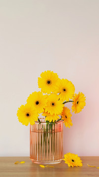 In every petal, a story of beauty unfolds
