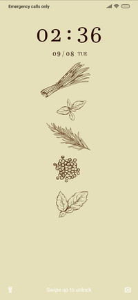 Indian Spices_3MDS
