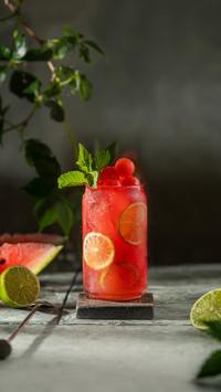 Watermelon Lime Refreshing Cocktail in Modern Glass