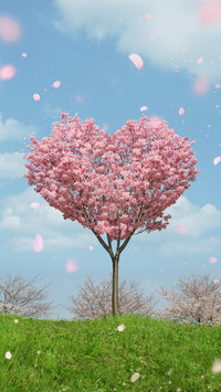 International-HeartTree