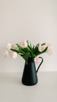 Soft white tulips on the white background