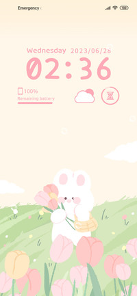 Rabbit Garden