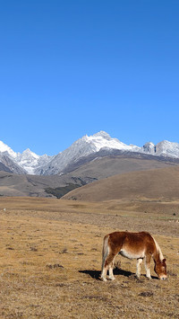 Autumn scenery on the gniei plateau