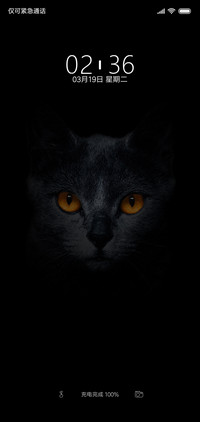 黑猫睁眼