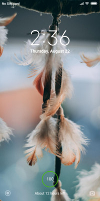 Feather