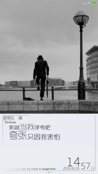 你当我浮夸吧（多锁屏）