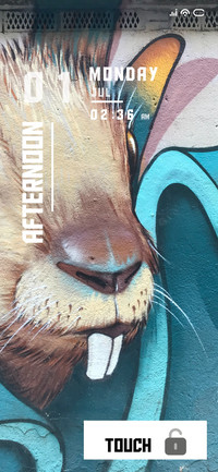 Rabbit Teeth
