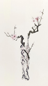 康春慧 执花寄月