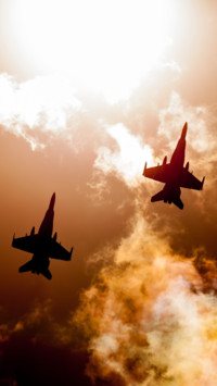 Aerial Predators (4)