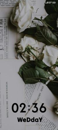 Roses on Paper