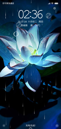蓝莲花