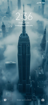 The morning fog