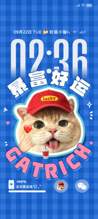 ins小猫搞怪多图