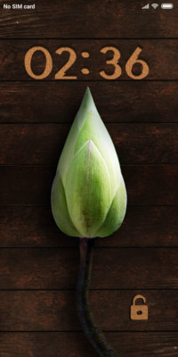 Indian Lotus_DWM19