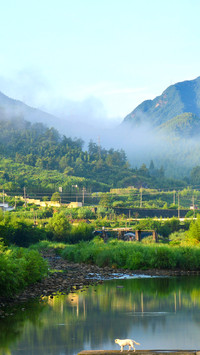 古诗词中寻夏日美景