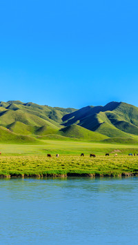 风景如画的国内旅游地