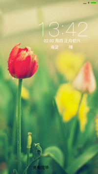 花颜