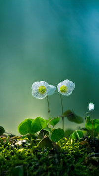 Warm spring sun