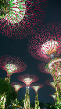 Bionic forest in the city 2
