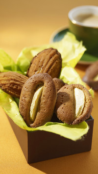 Apple madeleines