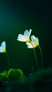 Warm spring sun