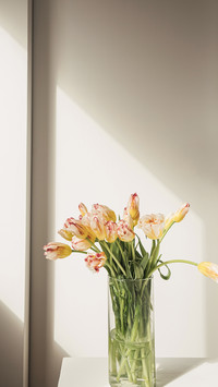 Yellow tulip flowers bouquet in glass vase