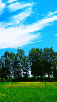 landing-1277