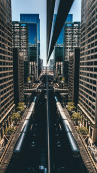 Urban Jungle (1)