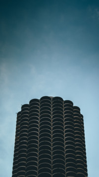Urban Jungle (4)