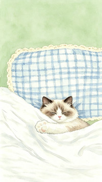 猫咪梦里有什么