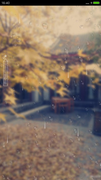 秋