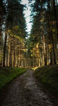 Roads &amp; Pathways (36)