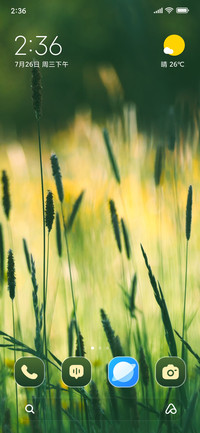 Wildflowers Meadow