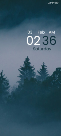 Forest Fog