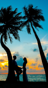 Romance (11)